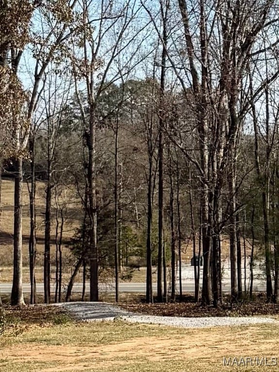 2884 Highway 47, Columbiana, AL 35051 - photo 2