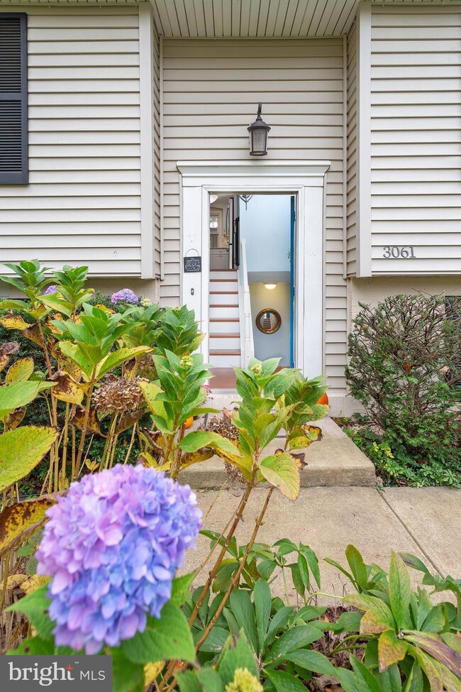 3061 Railroad Vine Ct, Fairfax, VA 22031 - photo 2