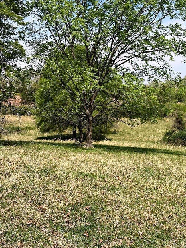 0 Marble Hill Rd, Poplar Bluff, MO 63901 - photo 6