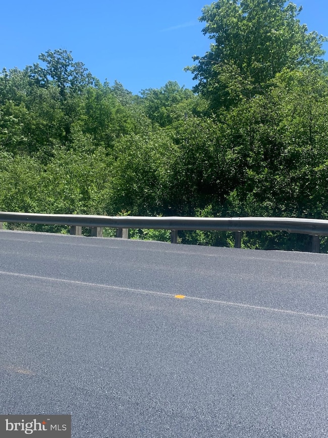 17188 George Washington Hwy, Mount Storm, WV 26739 - photo 3