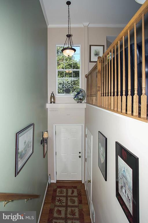 6707 Scottswood St, Alexandria, VA 22315 - photo 2