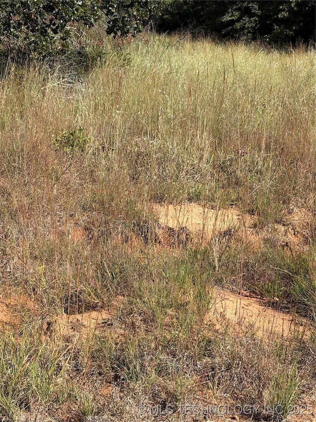 2612 S Mckenzie, Agra, OK 74824 - photo 5