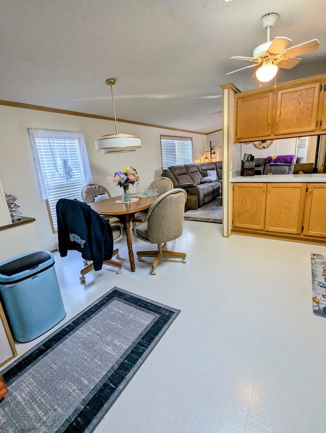 58 Swan Ln, Beecher, IL 60401 - photo 6