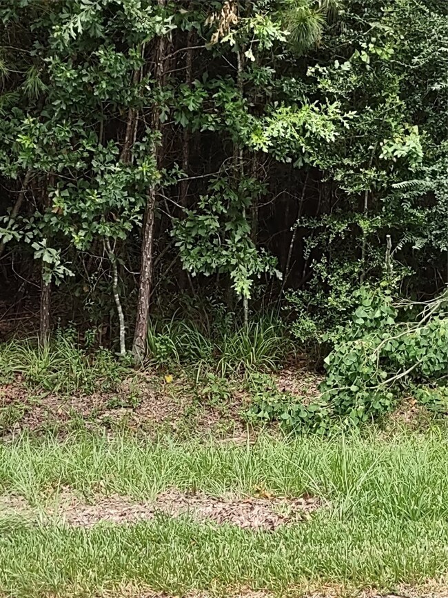 26707 Apache Trail, Magnolia, TX 77354 - photo 5