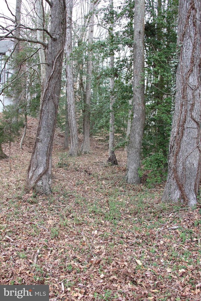 102 Jolly Roger Cove, Stafford, VA 22554 - photo 7