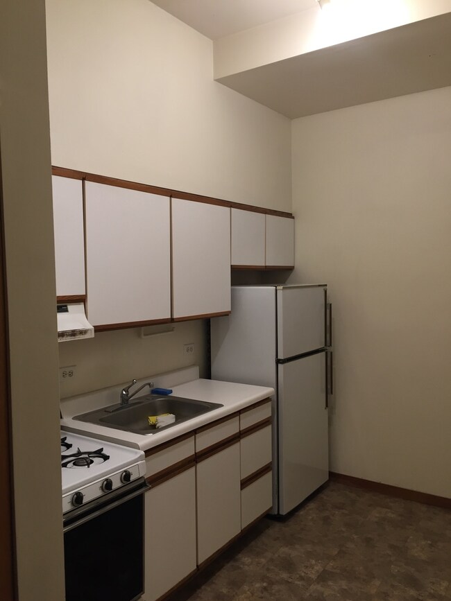 2652 N Wayne Ave unit 1F, Chicago, IL 60614 - photo 7