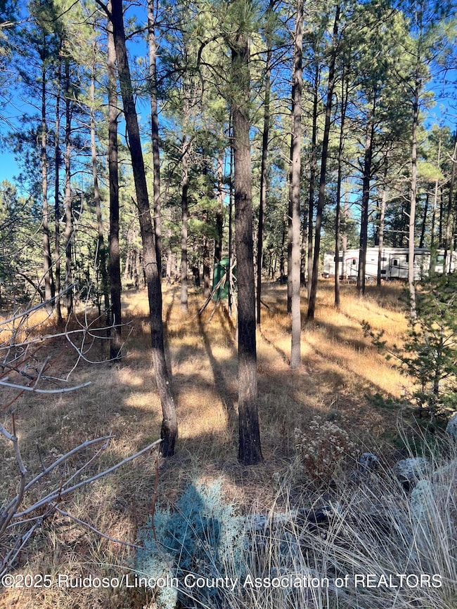 121 Stag Loop, Alto, NM 88312 - photo 5