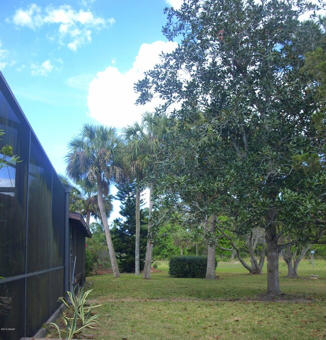 Back Yard Mature Trees