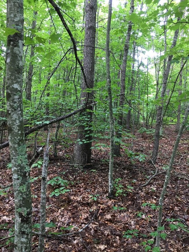 na Parkstown Rd, Wilder, TN 38589 - photo 6