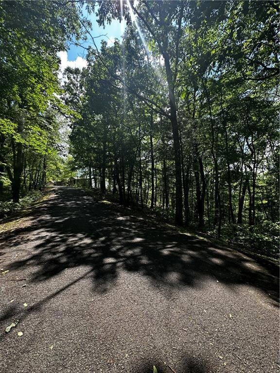 View of road