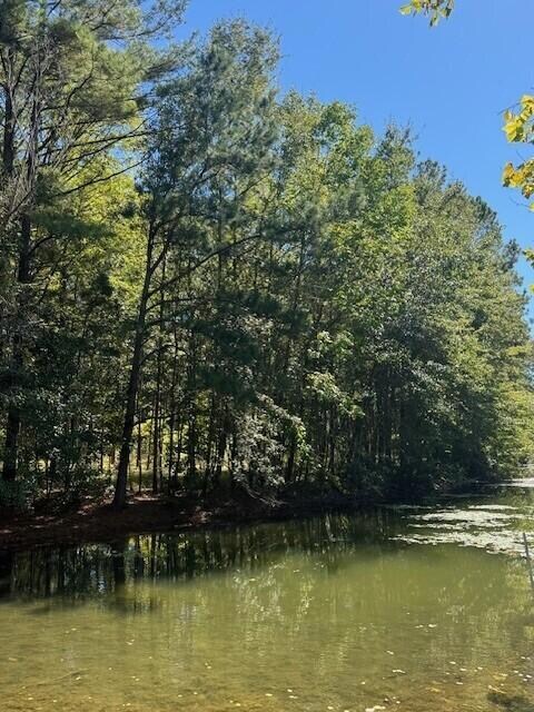 0 Poplar Creek Dr unit 25028030, Elloree, SC 29047 - photo 7