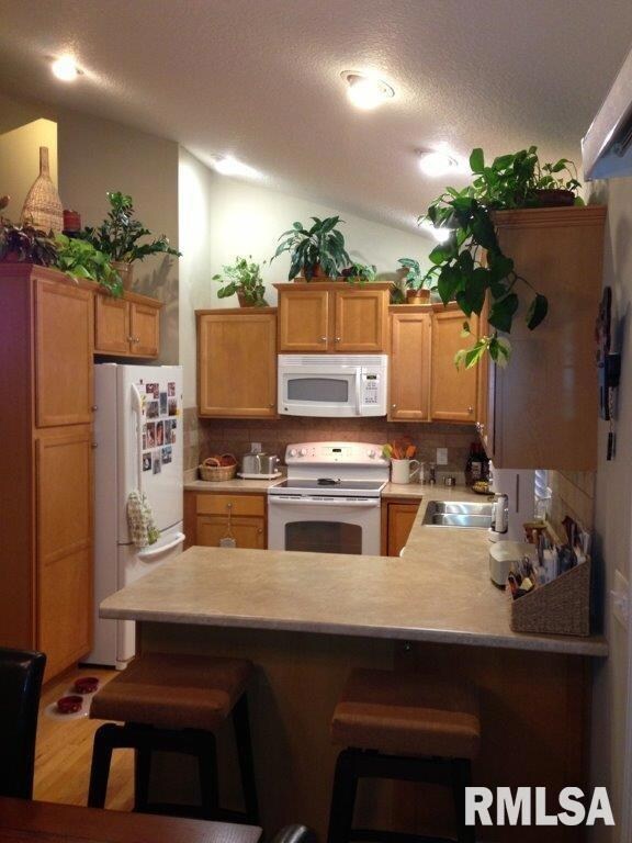 1919 W 56th Ct, Davenport, IA 52806 - photo 6