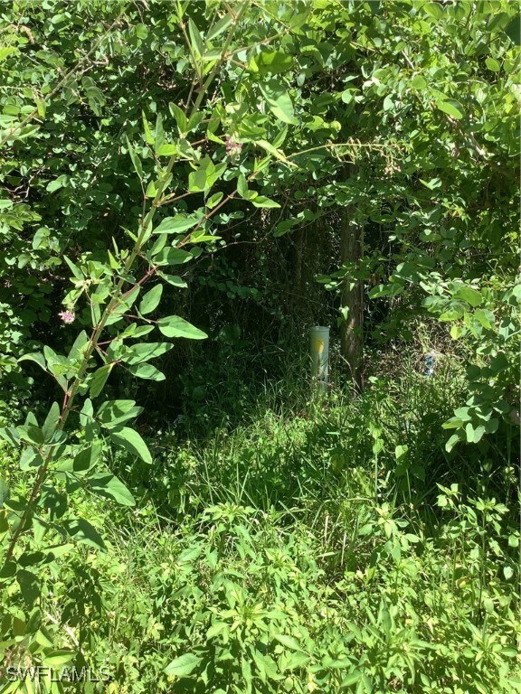 4910 Miraham Dr, Immokalee, FL 34142 - photo 5