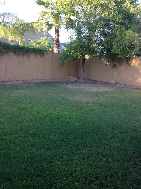 QUAIL BACK YARD