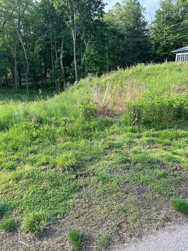 47102 Cedar Ave, Grand Beach, MI 49117 - photo 3