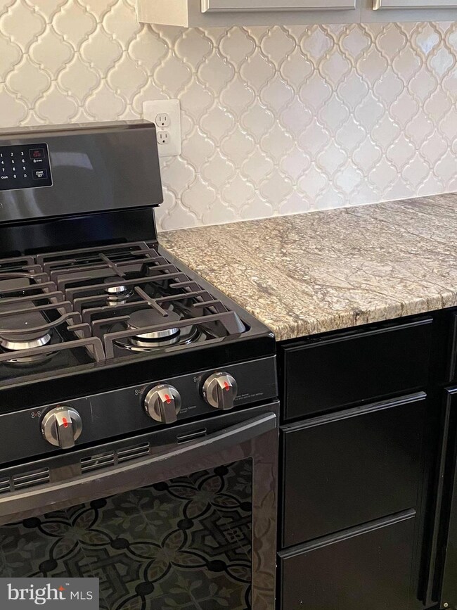 515 Brunswick St, Brunswick, MD 21716 - photo 6