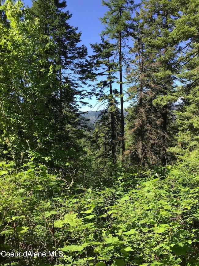 0 Fly Catcher Lts 13 & 14 unit 25-3423, St. Maries, ID 83861 - photo 6