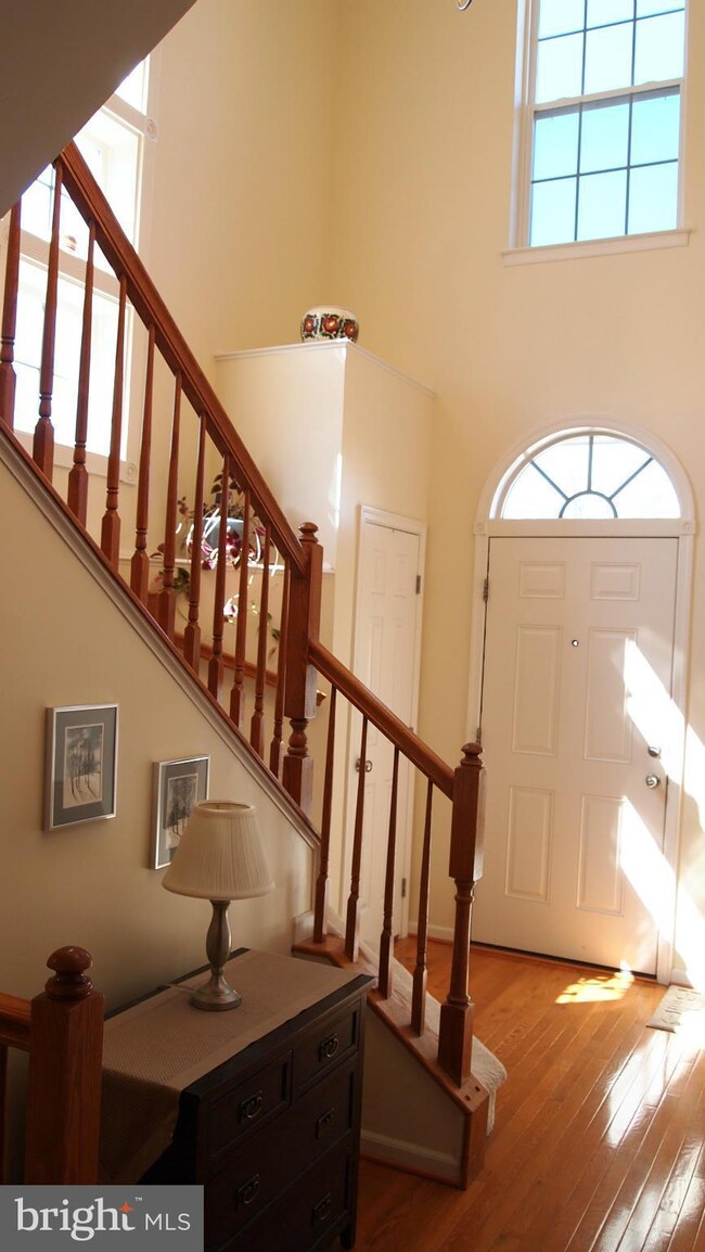 13762 Lowe St, Chantilly, VA 20151 - photo 3