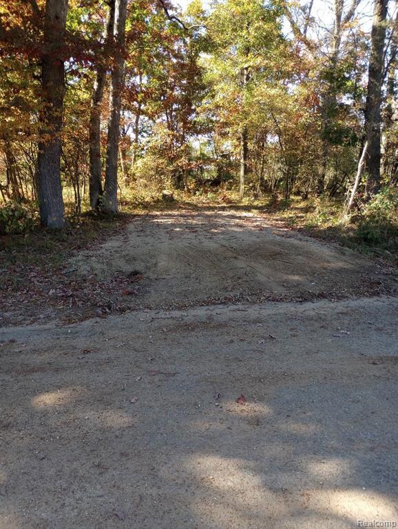 00 Springtime, Webber Township, MI 49304 - photo 5