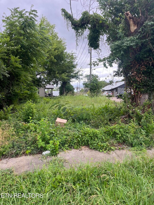 View from Johnston St