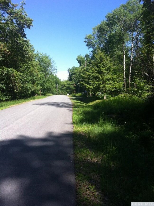 71 Hunter Ln, Hunter, NY 12492 - photo 2