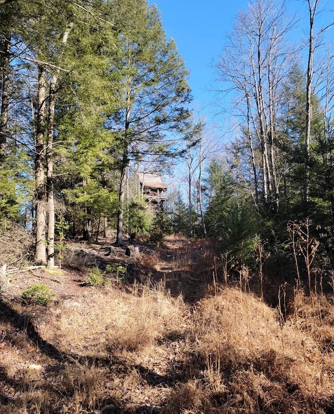 00 Elliott Rd, Hico, WV 25854 - photo 7