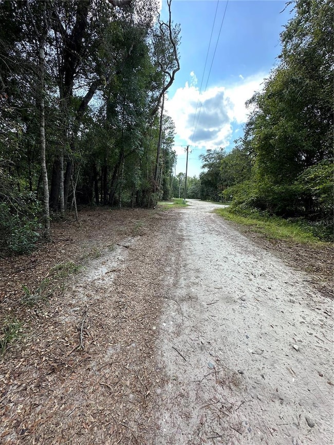 TBD NE 234th Place, Fort McCoy, FL 32134 - photo 6