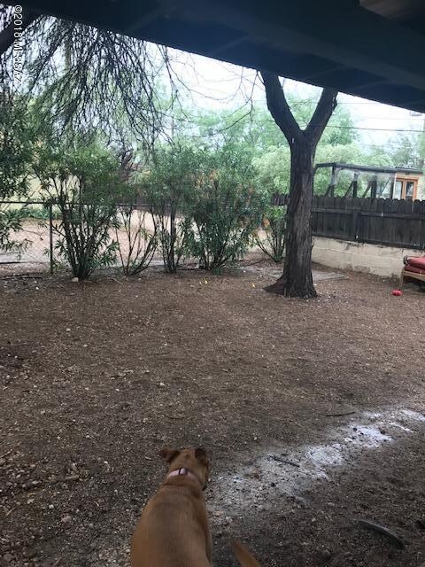 Backyard Unit 2