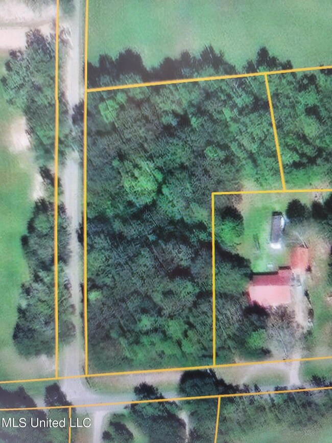 00 Walkiah Bluff Rd, Picayune, MS 39466 - photo 6