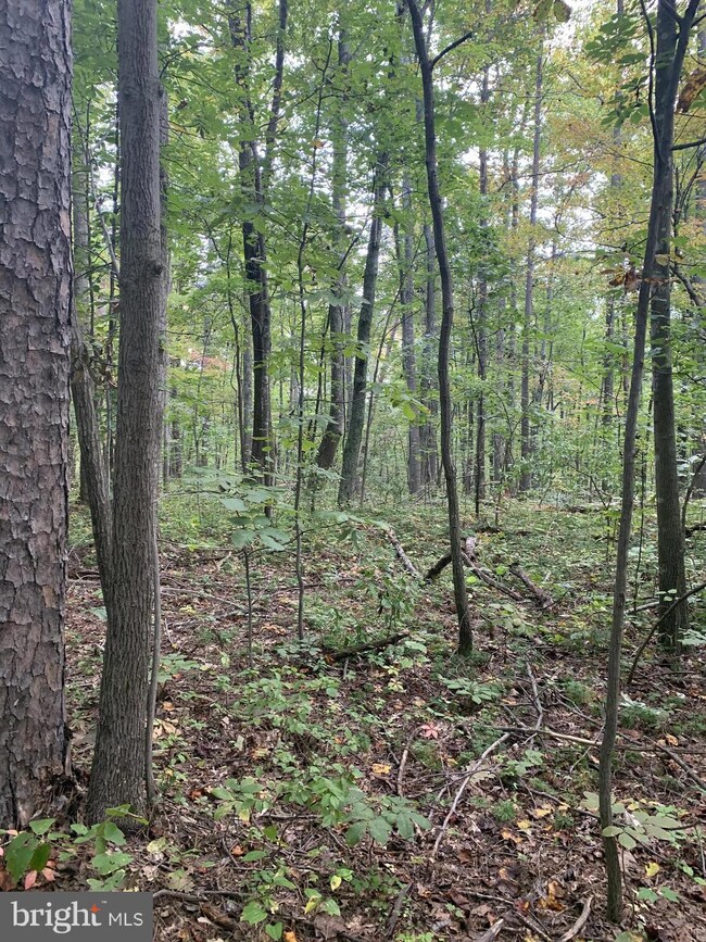 0 Varzara Rd, Marshall, VA 20115 - photo 2