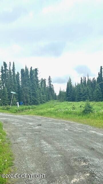 view of access from road