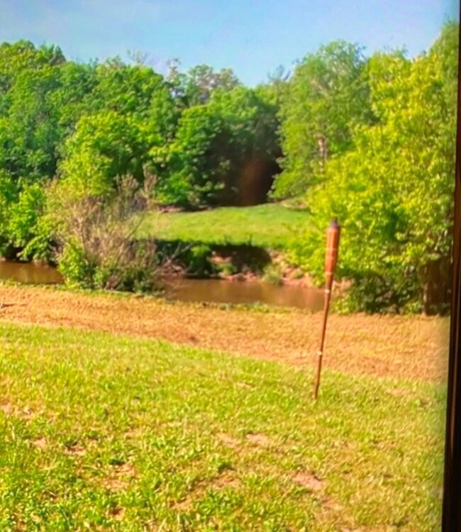 riner river