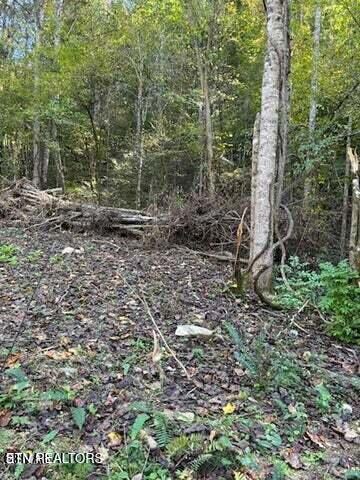 20251016201451923430000000-o