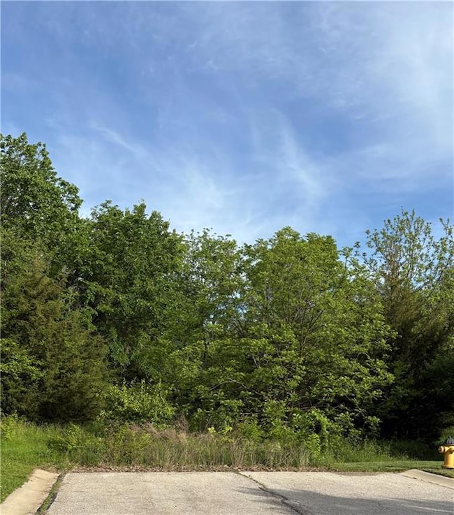 0 College Blvd unit HMS2548994, Olathe, KS 66061 - photo 3