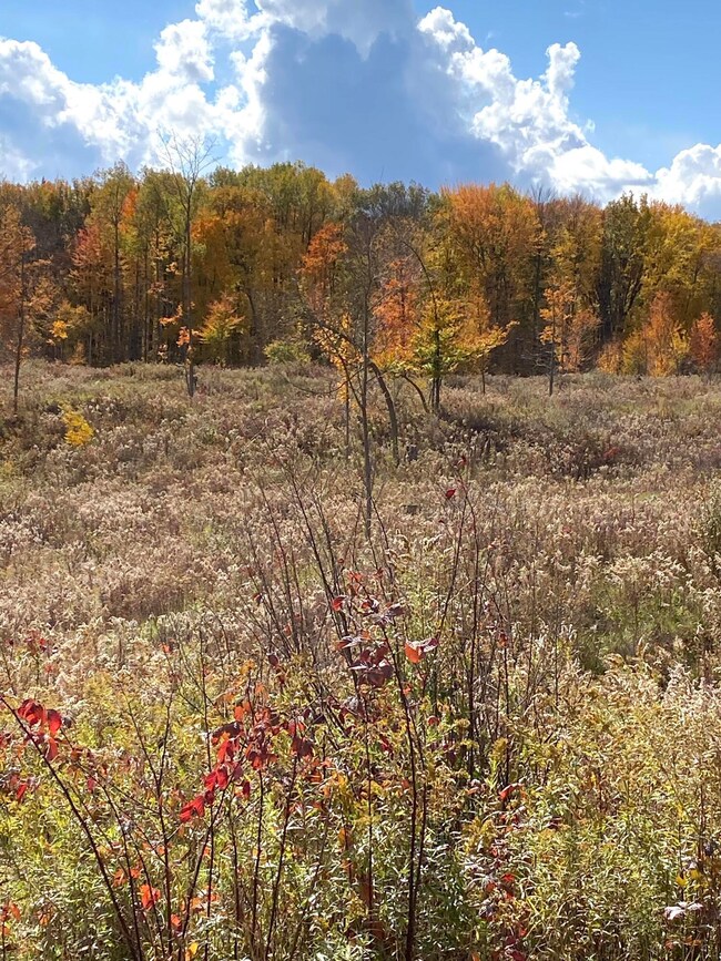 Fall view 3
