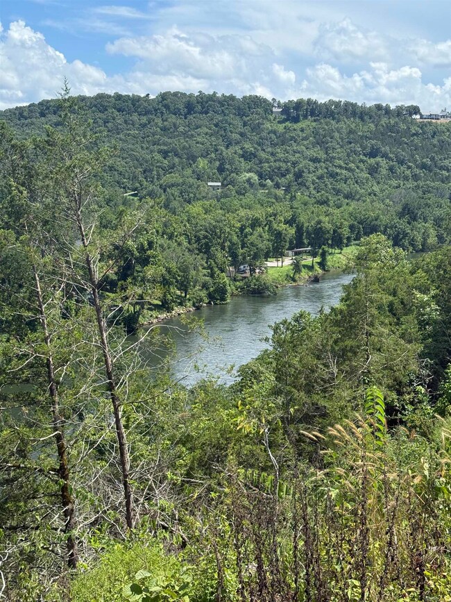 12952 Highway 5, Norfork, AR 72658 - photo 6