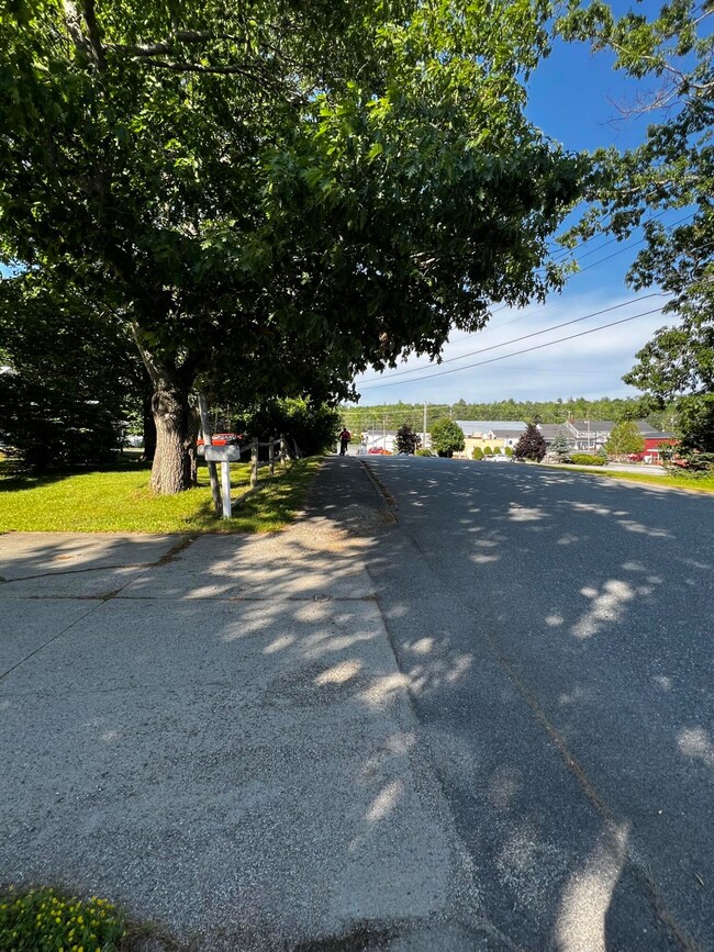 Sidewalks and beautiful trees in front