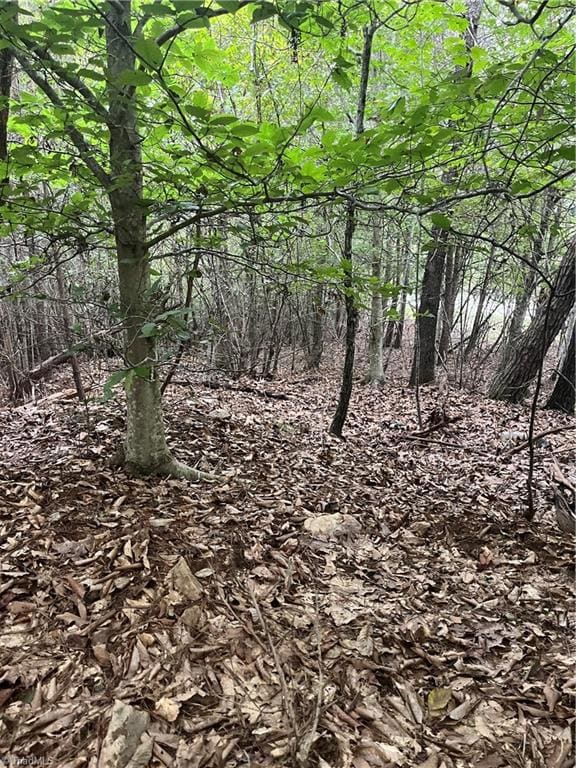 0 S Stokes School Rd, Walnut Cove, NC 27052 - photo 4