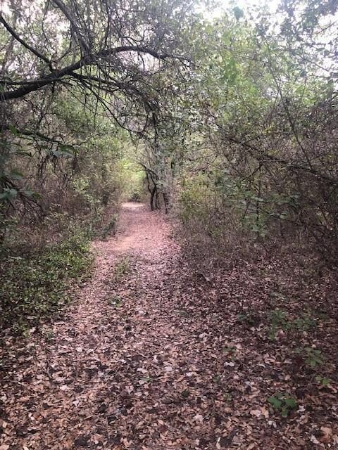 408 Forest Trail, Weatherford, TX 76085 - photo 5