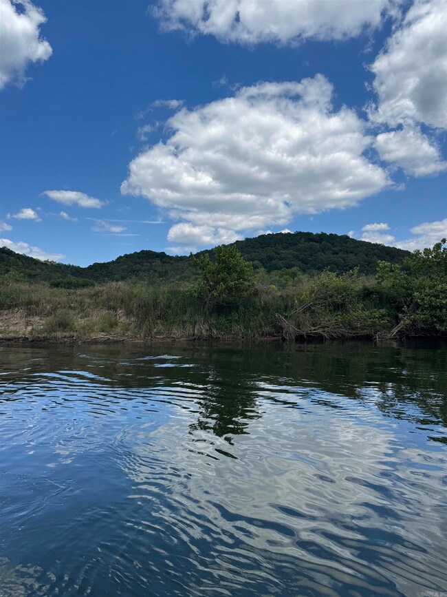 64-65 White River Run, Guion, AR 72540 - photo 4