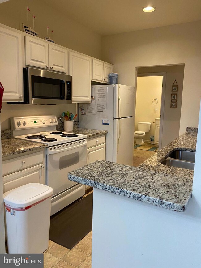 100 Cascade Ln unit 110, Rehoboth Beach, DE 19971 - photo 3