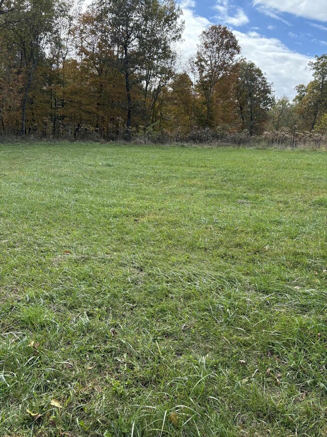 Pine Grove Ch Rd, Vanceburg, KY 41179 - photo 7