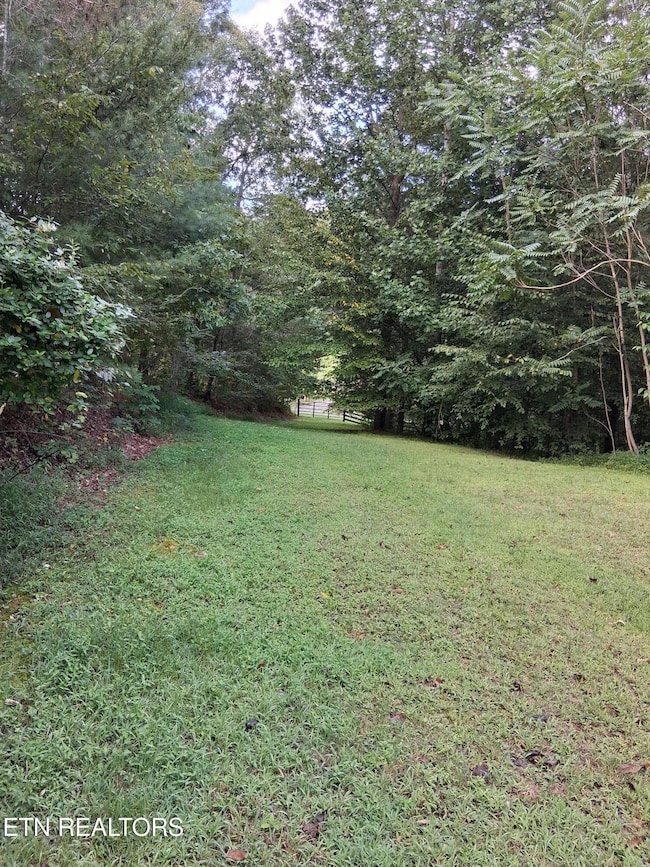 0 Fugate Rd unit 1314677, Del Rio, TN 37727 - photo 5