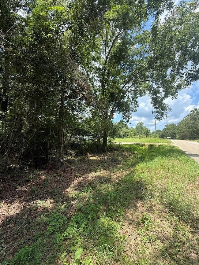 0 Sleepy Bear Rd, Norman Park, GA 31771 - photo 4