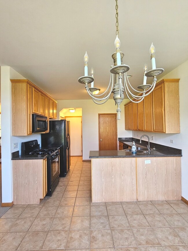 6739 Slate Dr unit 914, Carpentersville, IL 60110 - photo 4