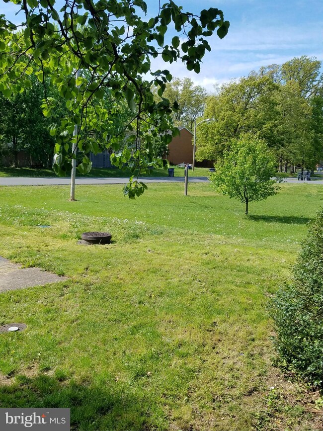 401 Buckingham Dr, Stephens City, VA 22655 - photo 2