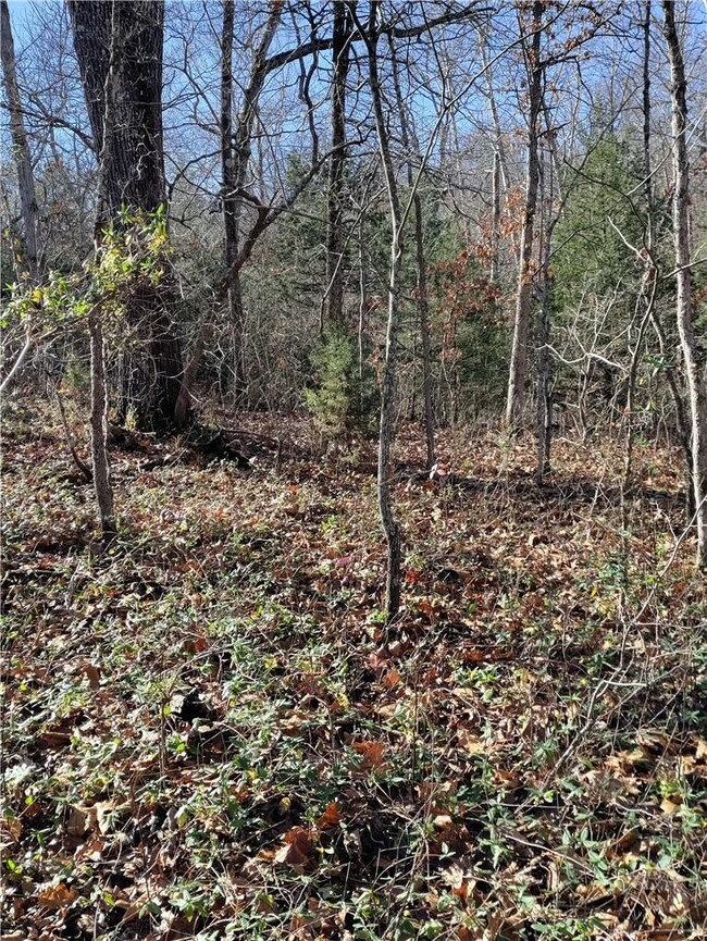 1 Munster Dr, Bella Vista, AR 72715 - photo 5