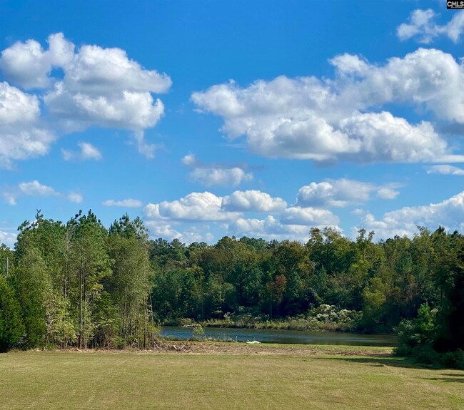 168 White Rock Acres Rd, Chapin, SC 29036 MLS 578352