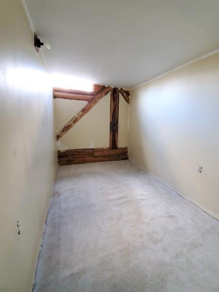 Den or Walk-in closet