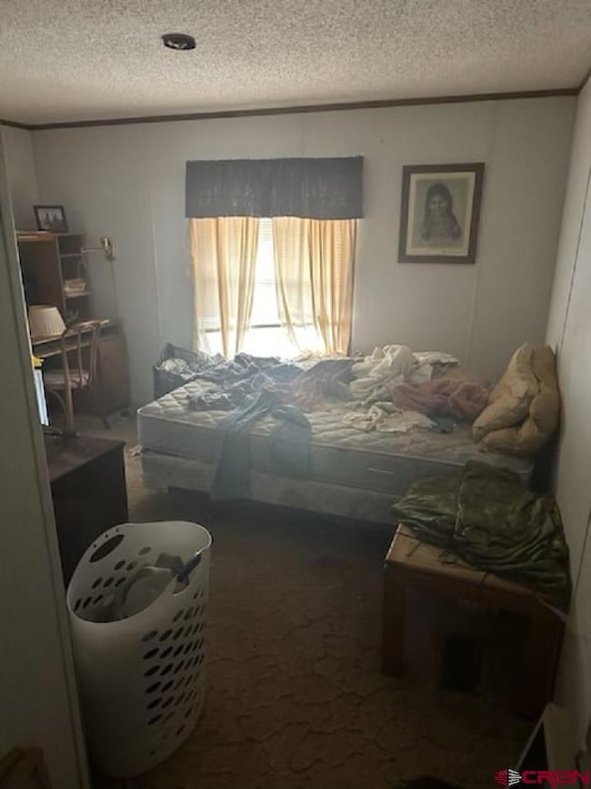 23057 Frost Rd, Cedaredge, CO 81413 - photo 4